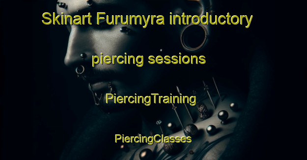 Skinart Furumyra introductory piercing sessions | #PiercingTraining #PiercingClasses #SkinartTraining-Norway