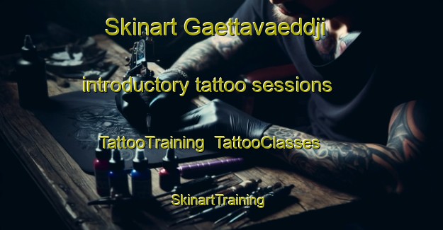 Skinart Gaettavaeddji introductory tattoo sessions | TattooTraining | TattooClasses | SkinartTraining-Norway