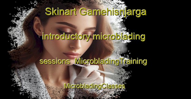 Skinart Gamehisnjarga introductory microblading sessions | MicrobladingTraining | MicrobladingClasses | SkinartTraining-Norway