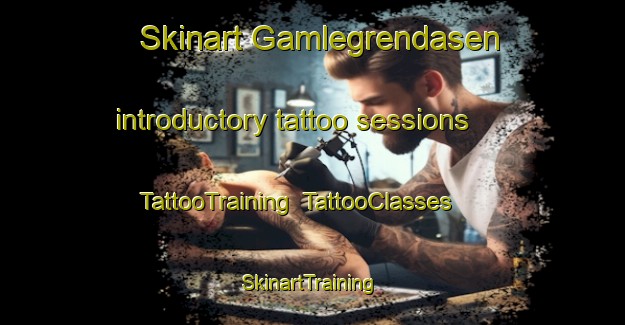 Skinart Gamlegrendasen introductory tattoo sessions | TattooTraining | TattooClasses | SkinartTraining-Norway