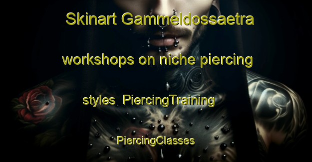 Skinart Gammeldossaetra workshops on niche piercing styles | #PiercingTraining #PiercingClasses #SkinartTraining-Norway