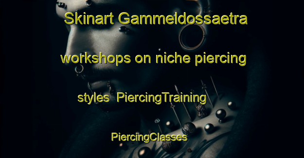 Skinart Gammeldossaetra workshops on niche piercing styles | PiercingTraining | PiercingClasses | SkinartTraining-Norway