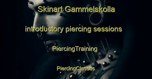 Skinart Gammelskolla introductory piercing sessions | #PiercingTraining #PiercingClasses #SkinartTraining-Norway