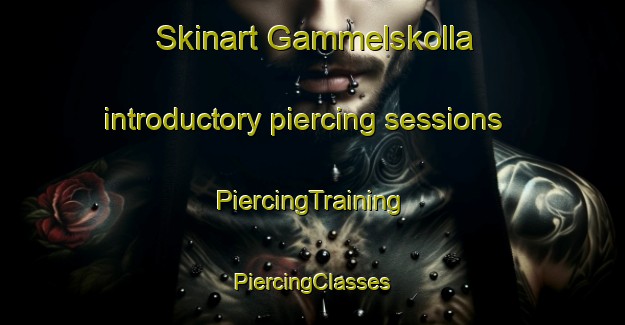 Skinart Gammelskolla introductory piercing sessions | #PiercingTraining #PiercingClasses #SkinartTraining-Norway