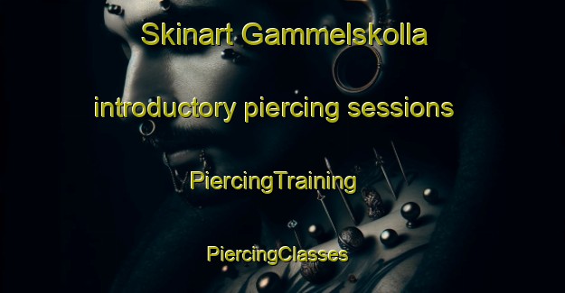 Skinart Gammelskolla introductory piercing sessions | PiercingTraining | PiercingClasses | SkinartTraining-Norway