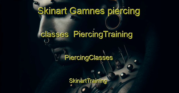 Skinart Gamnes piercing classes | #PiercingTraining #PiercingClasses #SkinartTraining-Norway