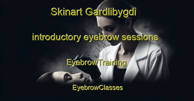 Skinart Gardlibygdi introductory eyebrow sessions | EyebrowTraining | EyebrowClasses | SkinartTraining-Norway