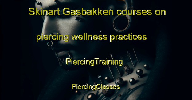 Skinart Gasbakken courses on piercing wellness practices | #PiercingTraining #PiercingClasses #SkinartTraining-Norway