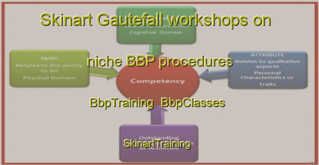 Skinart Gautefall workshops on niche BBP procedures | BbpTraining | BbpClasses | SkinartTraining-Norway