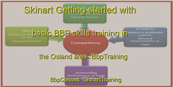 Skinart Getting started with basic BBP skills training in the Osland area | BbpTraining | BbpClasses | SkinartTraining-Norway
