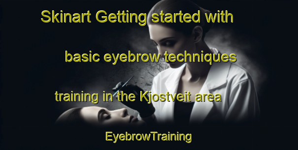 Skinart Getting started with basic eyebrow techniques training in the Kjostveit area | EyebrowTraining | EyebrowClasses | SkinartTraining-Norway