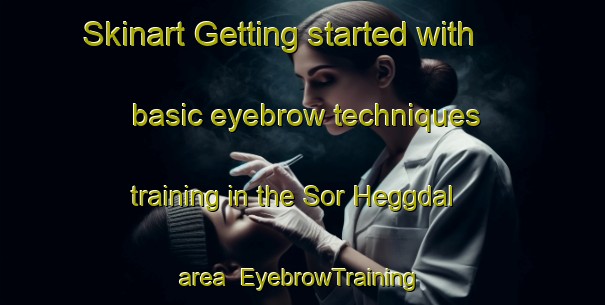 Skinart Getting started with basic eyebrow techniques training in the Sor Heggdal area | EyebrowTraining | EyebrowClasses | SkinartTraining-Norway