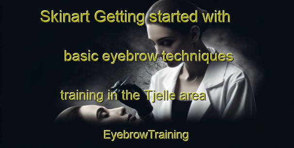 Skinart Getting started with basic eyebrow techniques training in the Tjelle area | EyebrowTraining | EyebrowClasses | SkinartTraining-Norway