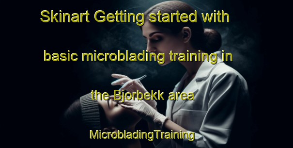 Skinart Getting started with basic microblading training in the Bjorbekk area | MicrobladingTraining | MicrobladingClasses | SkinartTraining-Norway