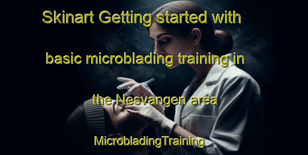 Skinart Getting started with basic microblading training in the Nesvangen area | MicrobladingTraining | MicrobladingClasses | SkinartTraining-Norway