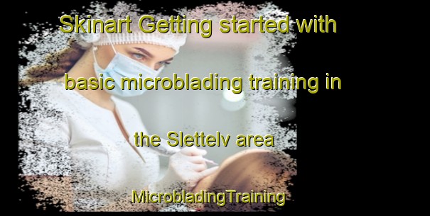 Skinart Getting started with basic microblading training in the Slettelv area | MicrobladingTraining | MicrobladingClasses | SkinartTraining-Norway