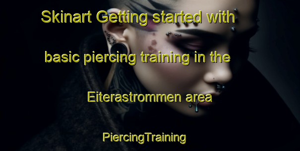 Skinart Getting started with basic piercing training in the Eiterastrommen area | PiercingTraining | PiercingClasses | SkinartTraining-Norway