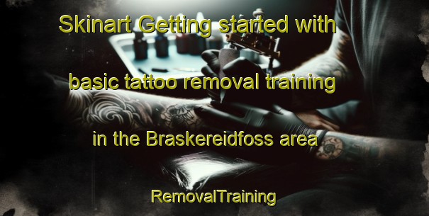 Skinart Getting started with basic tattoo removal training in the Braskereidfoss area | RemovalTraining | RemovalClasses | SkinartTraining-Norway