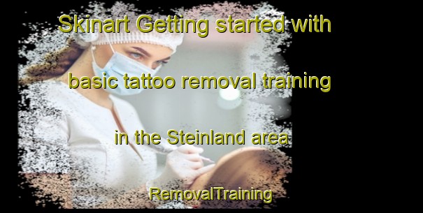 Skinart Getting started with basic tattoo removal training in the Steinland area | RemovalTraining | RemovalClasses | SkinartTraining-Norway
