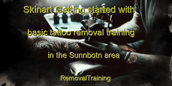 Skinart Getting started with basic tattoo removal training in the Sunnbotn area | RemovalTraining | RemovalClasses | SkinartTraining-Norway