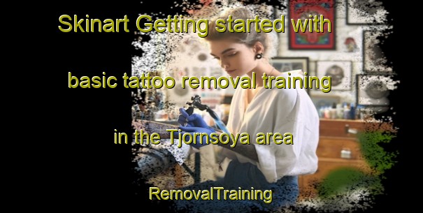 Skinart Getting started with basic tattoo removal training in the Tjornsoya area | RemovalTraining | RemovalClasses | SkinartTraining-Norway