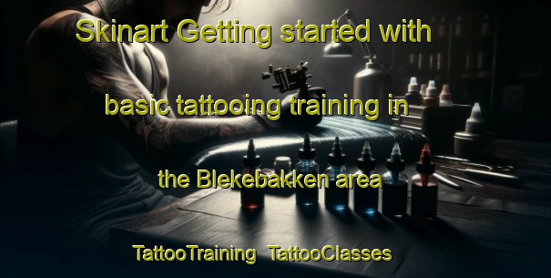 Skinart Getting started with basic tattooing training in the Blekebakken area | TattooTraining | TattooClasses | SkinartTraining-Norway