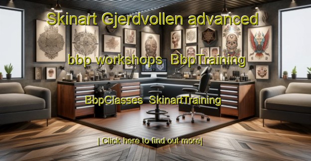 Skinart Gjerdvollen advanced bbp workshops | BbpTraining | BbpClasses | SkinartTraining-Norway