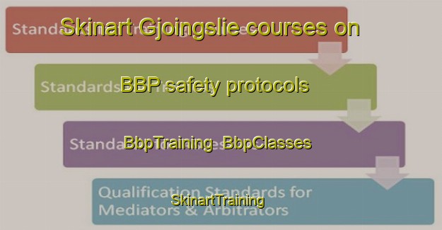 Skinart Gjoingslie courses on BBP safety protocols | BbpTraining | BbpClasses | SkinartTraining-Norway
