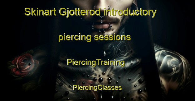 Skinart Gjotterod introductory piercing sessions | #PiercingTraining #PiercingClasses #SkinartTraining-Norway