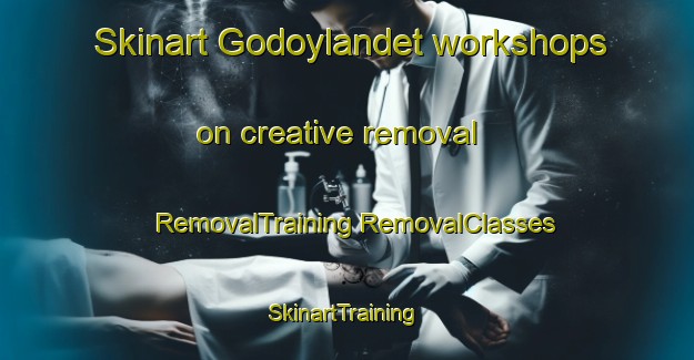 Skinart Godoylandet workshops on creative removal | #RemovalTraining #RemovalClasses #SkinartTraining-Norway