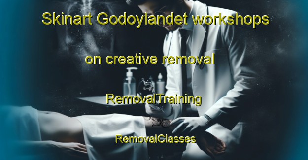 Skinart Godoylandet workshops on creative removal | RemovalTraining | RemovalClasses | SkinartTraining-Norway