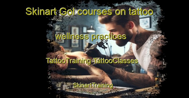 Skinart Gol courses on tattoo wellness practices | #TattooTraining #TattooClasses #SkinartTraining-Norway