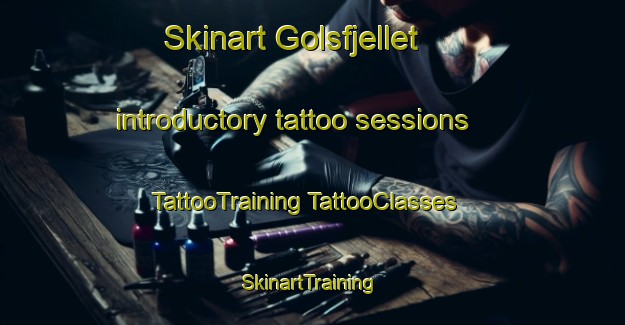 Skinart Golsfjellet introductory tattoo sessions | #TattooTraining #TattooClasses #SkinartTraining-Norway