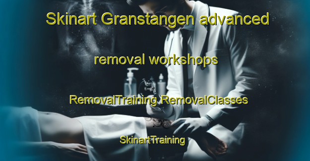 Skinart Granstangen advanced removal workshops | #RemovalTraining #RemovalClasses #SkinartTraining-Norway