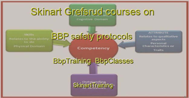 Skinart Grefsrud courses on BBP safety protocols | BbpTraining | BbpClasses | SkinartTraining-Norway