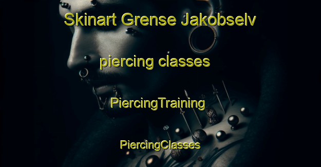 Skinart Grense Jakobselv piercing classes | #PiercingTraining #PiercingClasses #SkinartTraining-Norway