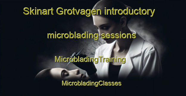 Skinart Grotvagen introductory microblading sessions | MicrobladingTraining | MicrobladingClasses | SkinartTraining-Norway