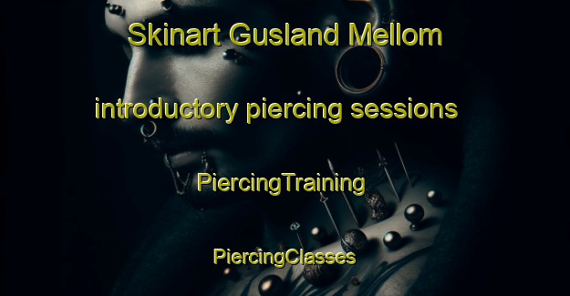 Skinart Gusland Mellom introductory piercing sessions | #PiercingTraining #PiercingClasses #SkinartTraining-Norway