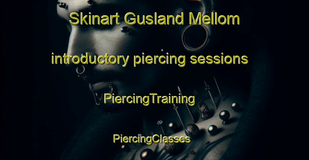 Skinart Gusland Mellom introductory piercing sessions | PiercingTraining | PiercingClasses | SkinartTraining-Norway