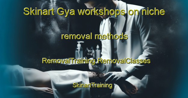 Skinart Gya workshops on niche removal methods | #RemovalTraining #RemovalClasses #SkinartTraining-Norway