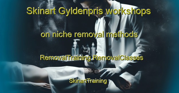 Skinart Gyldenpris workshops on niche removal methods | #RemovalTraining #RemovalClasses #SkinartTraining-Norway