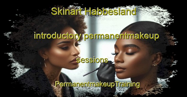 Skinart Habbesland introductory permanentmakeup sessions | #PermanentmakeupTraining #PermanentmakeupClasses #SkinartTraining-Norway