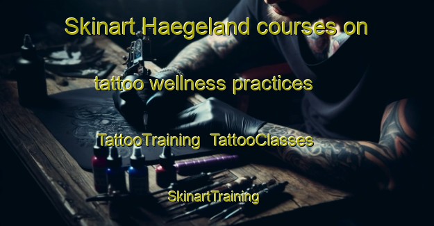 Skinart Haegeland courses on tattoo wellness practices | TattooTraining | TattooClasses | SkinartTraining-Norway