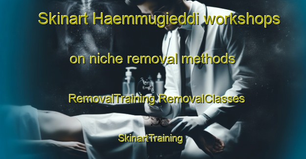 Skinart Haemmugieddi workshops on niche removal methods | #RemovalTraining #RemovalClasses #SkinartTraining-Norway