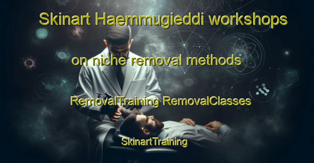 Skinart Haemmugieddi workshops on niche removal methods | #RemovalTraining #RemovalClasses #SkinartTraining-Norway