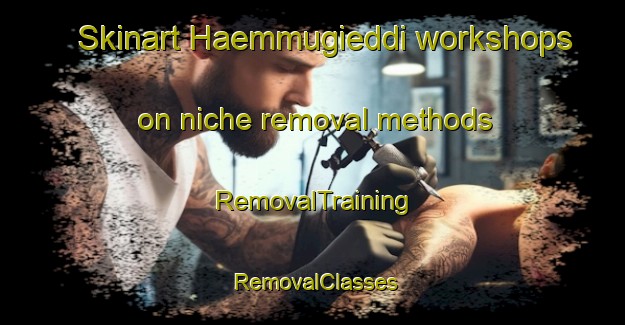 Skinart Haemmugieddi workshops on niche removal methods | RemovalTraining | RemovalClasses | SkinartTraining-Norway