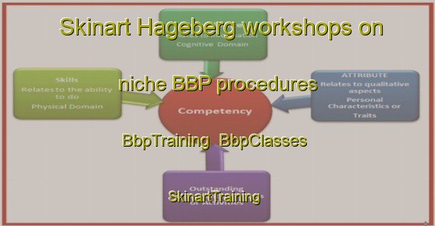 Skinart Hageberg workshops on niche BBP procedures | BbpTraining | BbpClasses | SkinartTraining-Norway