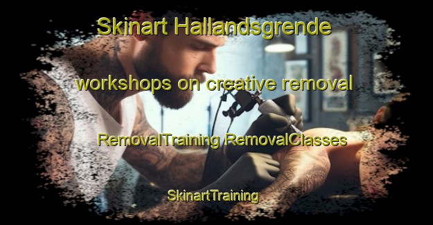 Skinart Hallandsgrende workshops on creative removal | #RemovalTraining #RemovalClasses #SkinartTraining-Norway