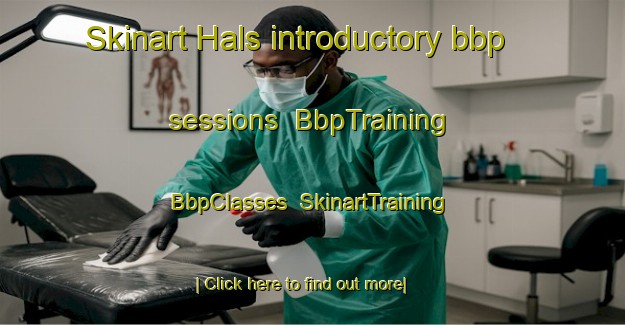 Skinart Hals introductory bbp sessions | BbpTraining | BbpClasses | SkinartTraining-Norway