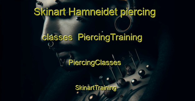 Skinart Hamneidet piercing classes | PiercingTraining | PiercingClasses | SkinartTraining-Norway